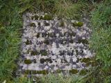 image of grave number 807159